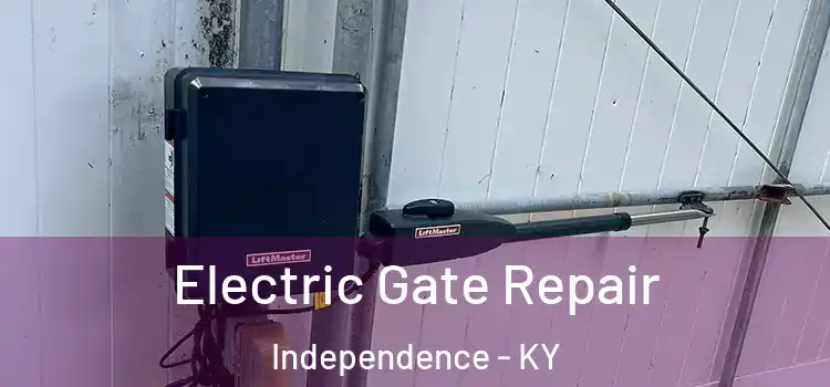 Electric Gate Repair Independence - KY